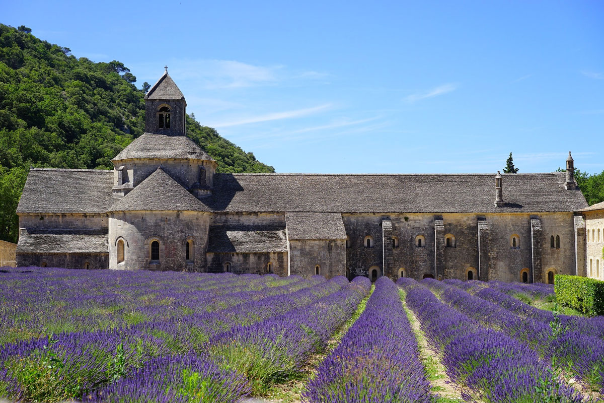 abbaye de senanque